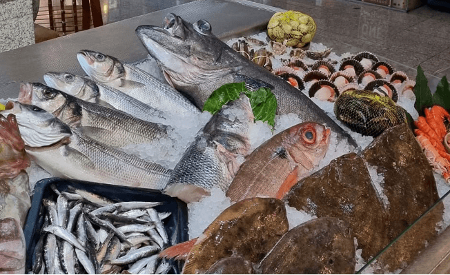 Peixe fresco do 31 de Janeiro